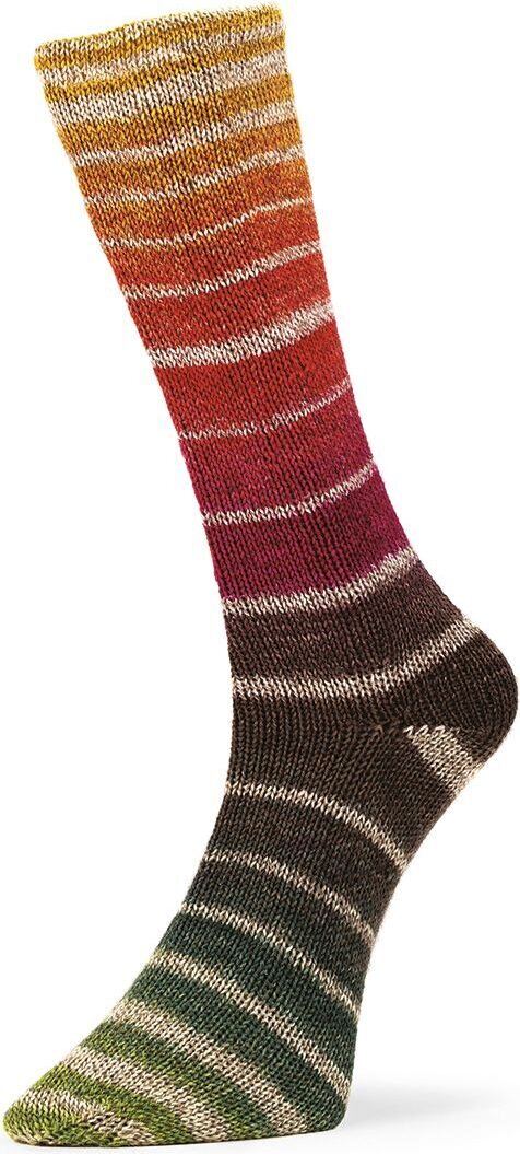 Laines Du Nord Nordik socks 2