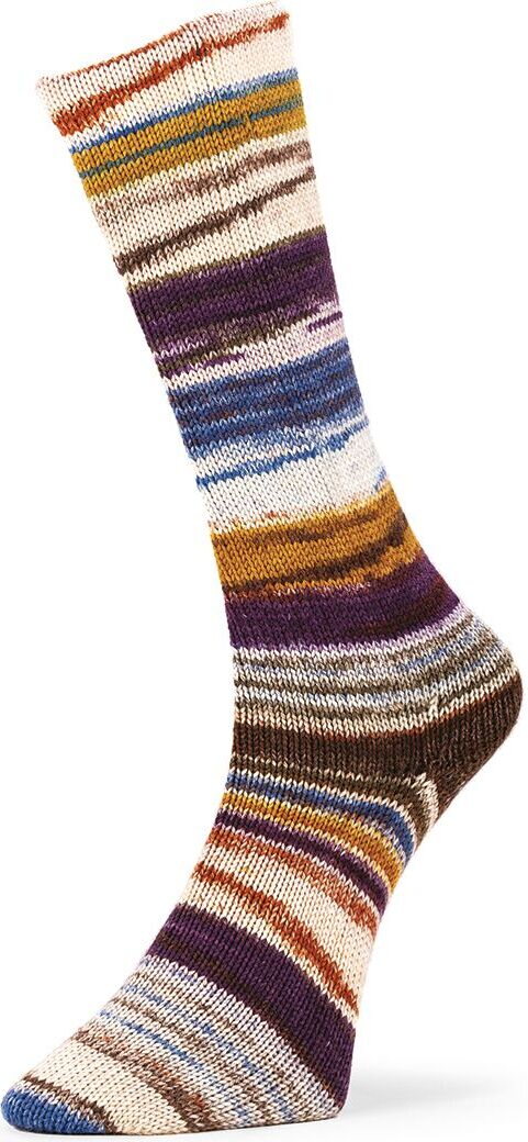 Laines Du Nord 6 ply Optical Socks 003