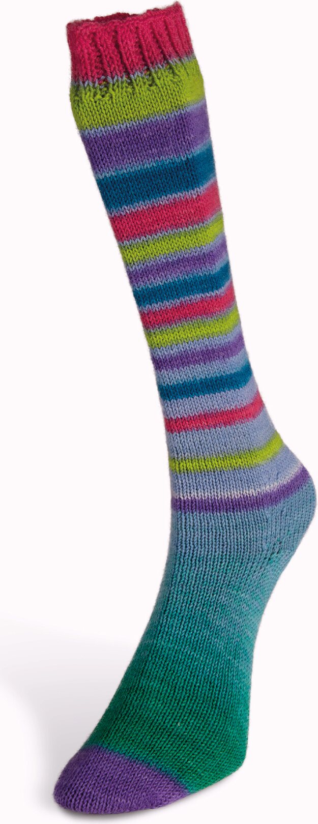 Laines Du Nord Infinity Sock 19