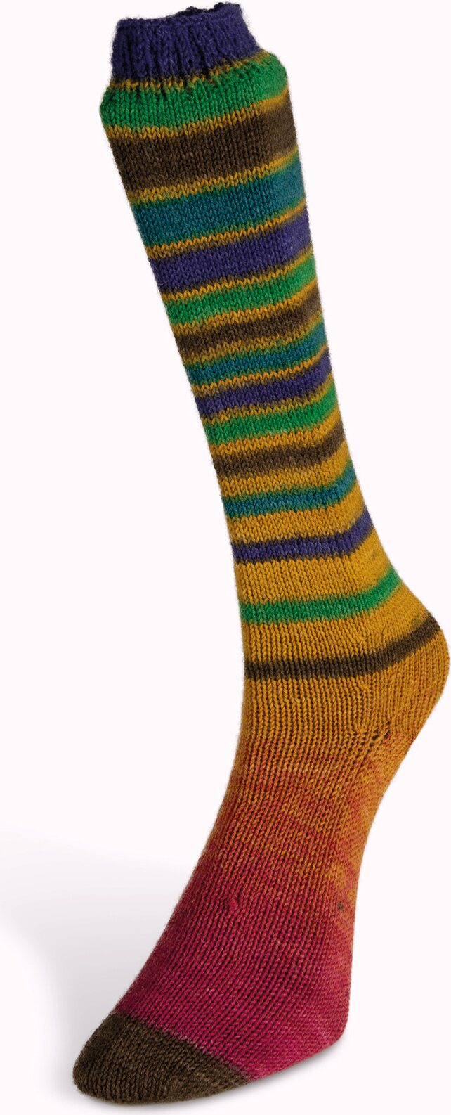 Laines Du Nord Infinity Sock 20