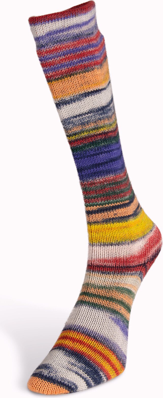Laines Du Nord Eclectic Sock 2