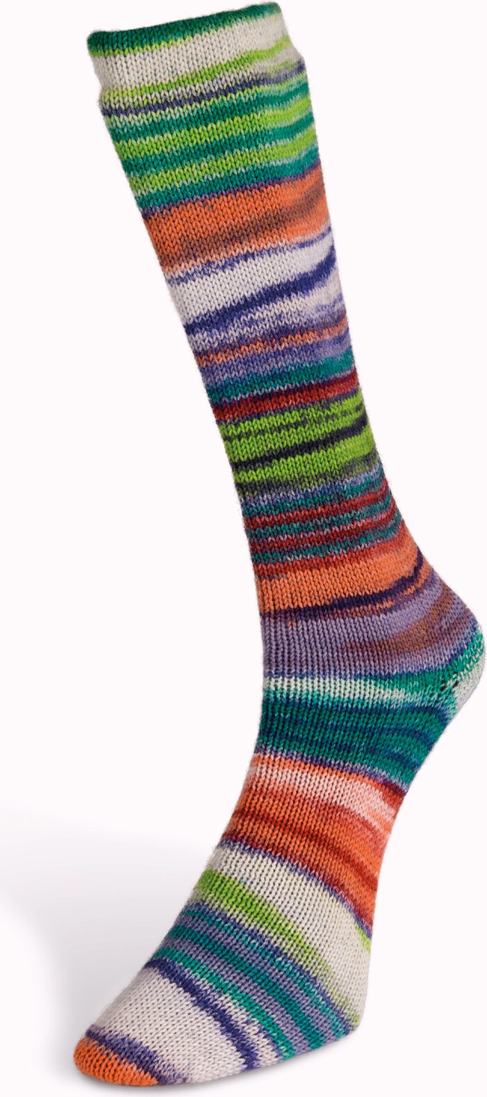 Laines Du Nord Eclectic Sock 3