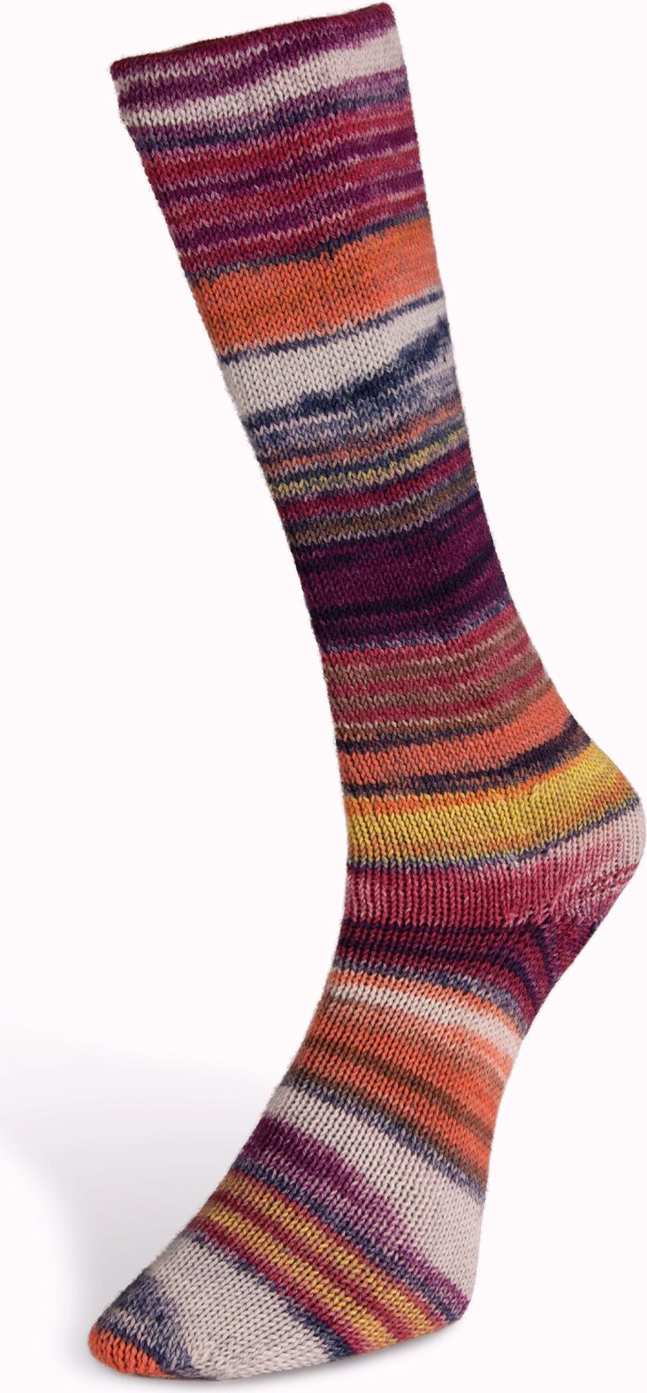 Laines Du Nord Eclectic Sock 4