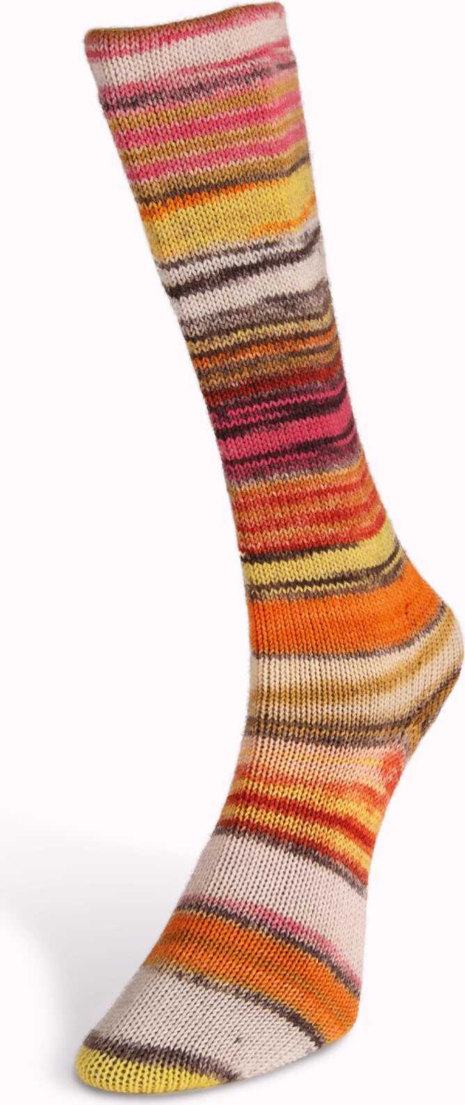 Laines Du Nord Eclectic Sock 5