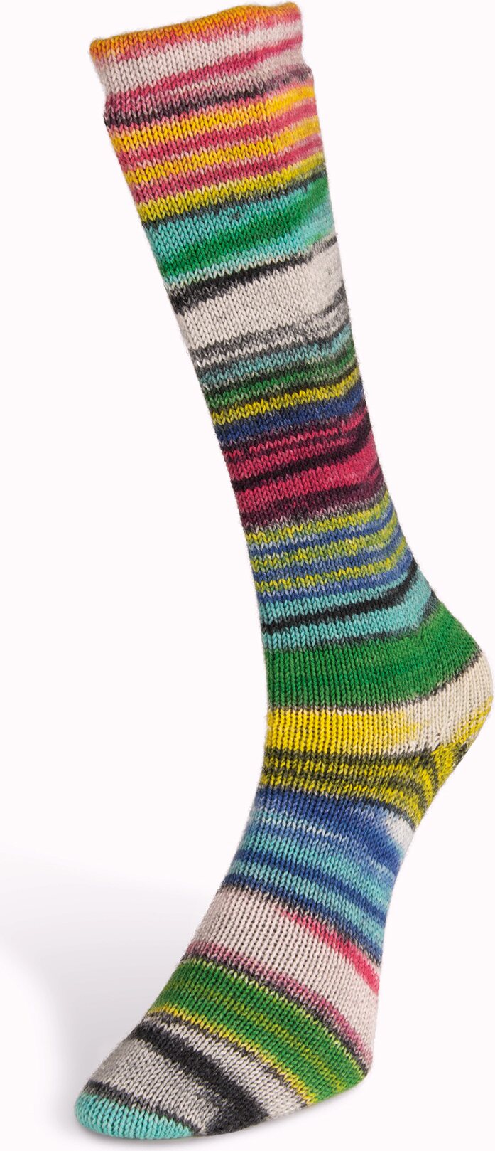 Laines Du Nord Eclectic Sock 6