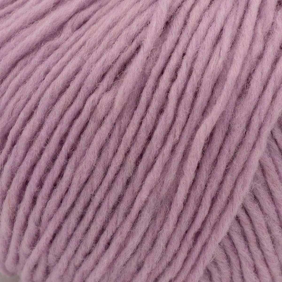Laines Du Nord Soft Carded Merino 19