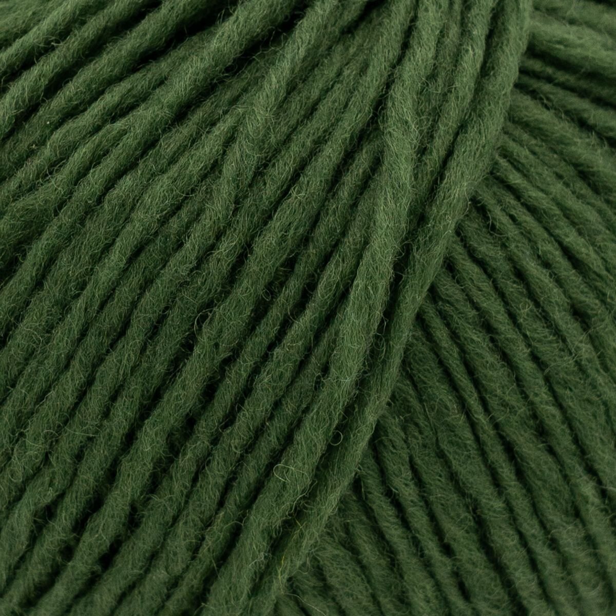 Laines Du Nord Soft Carded Merino 21