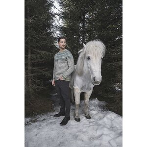 Järbo Garn Skald - pusero PDF-ohje