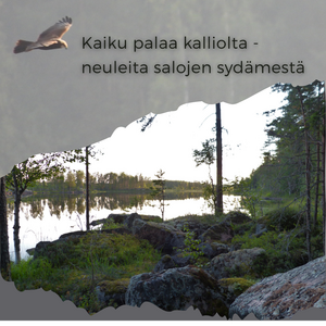 Kaiku palaa kallioilta - neuleita salojen sydämestä ohjelehdet